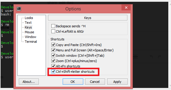 graphic show options for turning on shift shortcuts in git bash